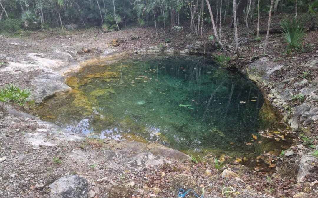 Large Plot with Cenote for Sale to Develop in Tulum Region 10 P4044, Tulum, Quintana Roo